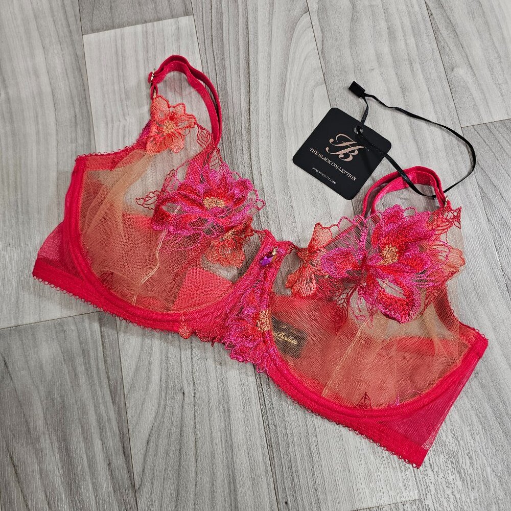 NWT Honey Birdette Christine Red Bra Size 36DDD